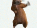 1-13.gif
